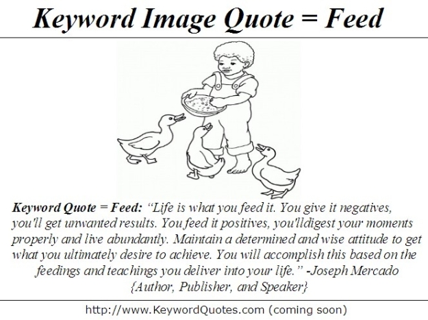 Feed Quote